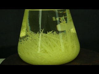 growing beautiful yellow sulfur crystals