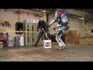 robot reaction to human bullying