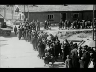 nazi experiments on people (documentary film).